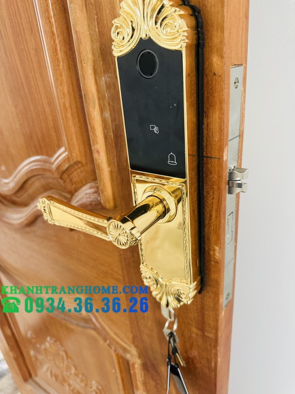 KHÓA CỬA VÂN TAY DEMAX SL280 BRASS 24K - 30