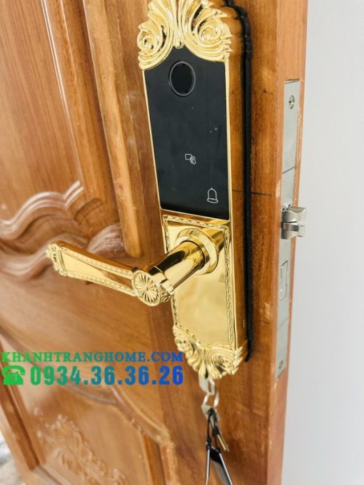 Khóa cửa vân tay DEMAX SL280 BRASS 24K tiêu chuẩn Đức - 33
