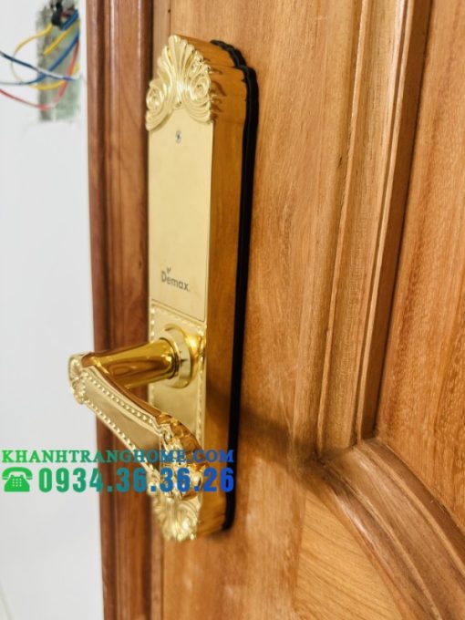 Khóa cửa vân tay DEMAX SL280 BRASS 24K tiêu chuẩn Đức - 37