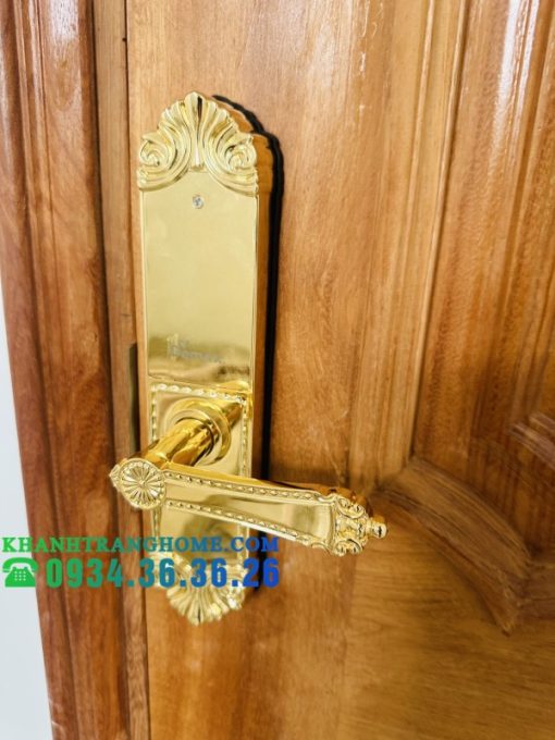 Khóa cửa vân tay DEMAX SL280 BRASS 24K tiêu chuẩn Đức - 39