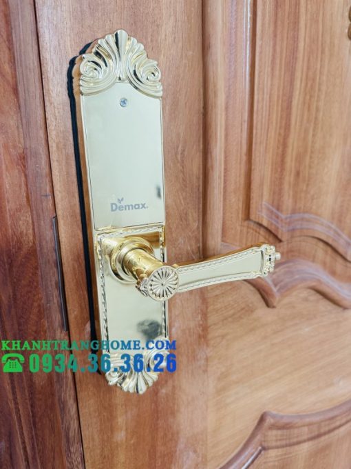 Khóa cửa vân tay DEMAX SL280 BRASS 24K tiêu chuẩn Đức - 43