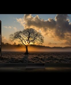 Smart Tivi Samsung Neo QLED 8K 75 inch 75QN800C - 28 Smart Tivi Samsung Neo QLED 8K 75 inch 75QN800C - 27