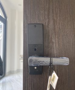 KHÓA THÔNG MINH GIOVANI GSL-116E98 - 17