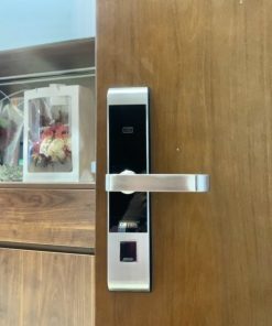 KHÓA THÔNG MINH GIOVANI GSL-118C87G - 13