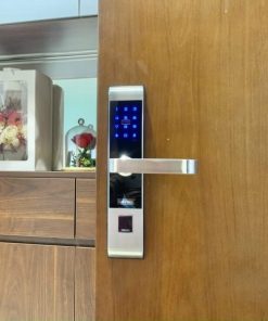 KHÓA THÔNG MINH GIOVANI GSL-118C87G - 17