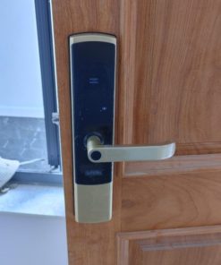 KHÓA THÔNG MINH GIOVANI GSL-U801G - 13