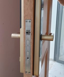 KHÓA THÔNG MINH GIOVANI GSL-U801G - 15