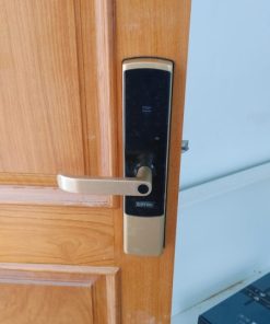 KHÓA THÔNG MINH GIOVANI GSL-U801G - 17