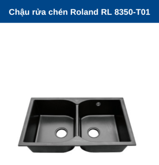 Chậu rửa chén Roland RL-RL 8350-T01 - 5