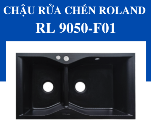 Chậu rửa chén Roland RL-RL 9050-F01 - 5