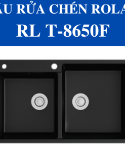 Chậu rửa chén Roland RL-RL T-8650F - 9