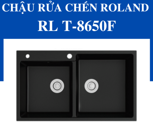 Chậu rửa chén Roland RL-RL T-8650F - 5