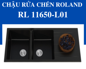 Chậu rửa chén Roland RL-RL 11650-L01 - 9