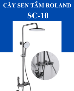 Sen Cây Nóng Lạnh Roland RL-SC-10 - 7