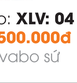 Bộ Xả Lavabo Sứ Xi Bóng Roland RL-XLV 04 - 7