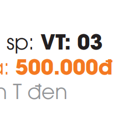 Van T Inox 304 Sơn Tĩnh Điện Roland RL-VT03 - 8 Van T Inox 304 Sơn Tĩnh Điện Roland RL-VT03 - 7