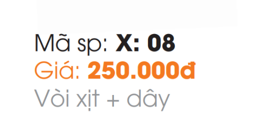 Xịt Vệ Sinh Roland RL-X-08 - 5