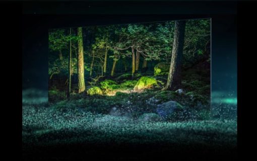 Smart Tivi OLED Samsung 4K 55 inch QA55S95B - 17