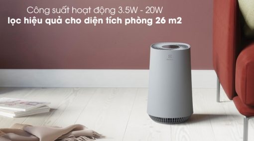 Máy lọc không khí Electrolux FA31-202GY - 27