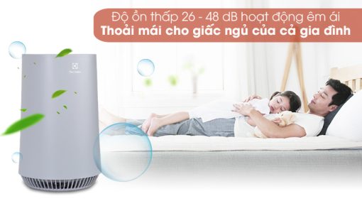 Máy lọc không khí Electrolux FA31-202GY - 17
