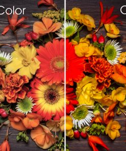 Smart Tivi FFalcon 32 inch 32SF1 - 32 Smart Tivi FFalcon 32 inch 32SF1 - 31