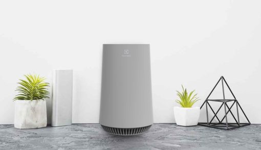 Máy lọc không khí Electrolux FA31-202GY - 15