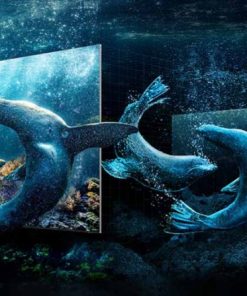 Smart Tivi Samsung Neo QLED 8K 65 inch 65QN800C - 36 Smart Tivi Samsung Neo QLED 8K 65 inch 65QN800C - 35