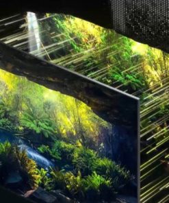 Smart Tivi Samsung Neo QLED 8K 65 inch 65QN800C - 44 Smart Tivi Samsung Neo QLED 8K 65 inch 65QN800C - 43