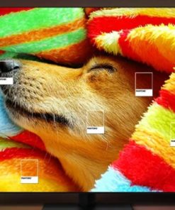 Smart Tivi Samsung Neo QLED 8K 65 inch 65QN800C - 38 Smart Tivi Samsung Neo QLED 8K 65 inch 65QN800C - 37