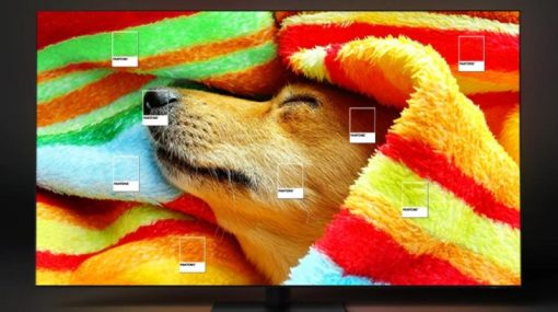 Smart Tivi Samsung Neo QLED 8K 65 inch 65QN800C - 15