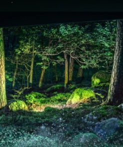 Smart Tivi OLED Samsung 4K 65 inch QA65S95B - 44 Smart Tivi OLED Samsung 4K 65 inch QA65S95B - 43