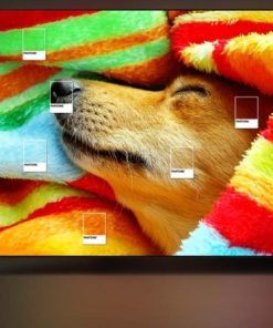 Smart Tivi OLED Samsung 4K 65 inch QA65S95CA - 36 Smart Tivi OLED Samsung 4K 65 inch QA65S95CA - 35