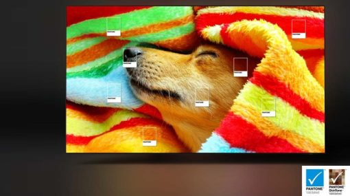 Smart Tivi OLED Samsung 4K 65 inch QA65S95CA - 15