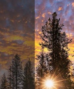 Smart Tivi OLED Samsung 4K 77 inch QA77S90CA - 24 Smart Tivi OLED Samsung 4K 77 inch QA77S90CA - 23