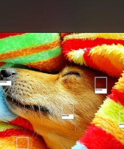 Smart Tivi QLED Samsung 4K 85 inch 85Q80CA - 24 Smart Tivi QLED Samsung 4K 85 inch 85Q80CA - 23