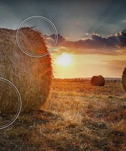 Smart TV QLED Samsung 55 inch 4K UHD 55Q70CA - 33