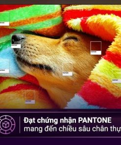 Smart Tivi Neo QLED 4K 55 inch Samsung 55QN90CA - 34 Smart Tivi Neo QLED 4K 55 inch Samsung 55QN90CA - 33