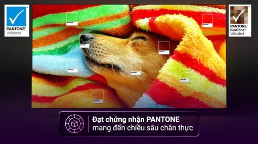 Smart Tivi Neo QLED 4K 55 inch Samsung 55QN90CA - 13