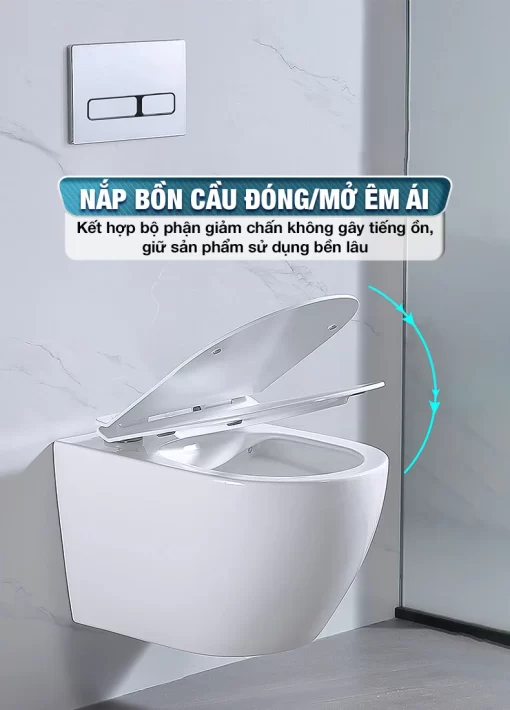 Bồn Cầu Treo Tường Roland CT-G02 - 5