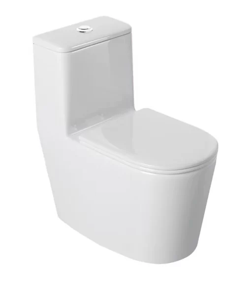Bồn Cầu Một Khối Roland 3620 - 1