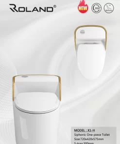 Bồn Cầu Một Khối Roland X1-H - 11