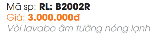 Vòi Lavabo Âm Tường Roland RL-B2002R - 5