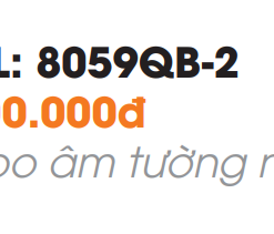 Vòi Lavabo Âm Tường Roland RL-8059QB-2 - 9