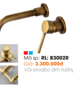 Vòi Lavabo Âm Tường Roland RL-B3002R - 7