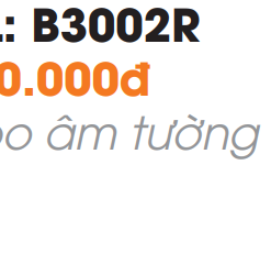 Vòi Lavabo Âm Tường Roland RL-B3002R - 9