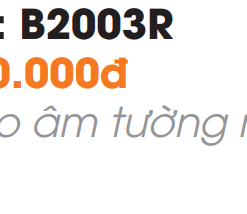 Vòi Lavabo Âm Tường Roland RL-B2003R - 9
