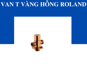 Van T Vàng Hồng Roland - 9