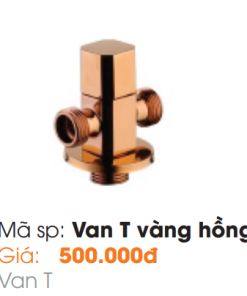 Van T Vàng Hồng Roland - 8 Van T Vàng Hồng Roland - 7