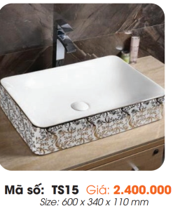 Tô Lavabo Sứ Roland TS15 - 7