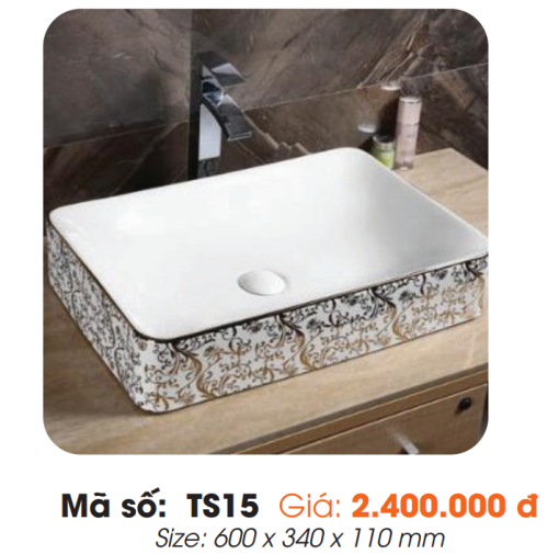 Tô Lavabo Sứ Roland TS15 - 3